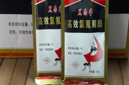 杀虫粉剂能杀死跳蚤吗，会对人体产生危害