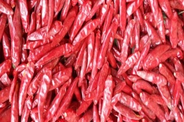 石柱红干辣椒二号辣不辣，推荐七星椒、子弹头、新一代等