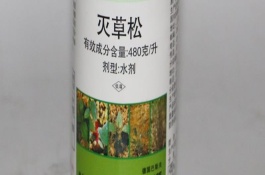 灭草松除草剂的使用要点，经过1-2天开始生效