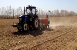 种植冬小麦何时除草，出土能力强一般能出来
