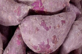 种植紫薯怎么施肥，田间管理极为重要