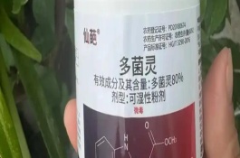 多菌灵可用于土壤吗，具有内吸治疗和保护作用