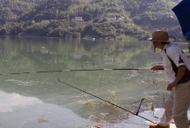 钓鲤鱼用什么鱼漂，可以钓底也可以钓浮