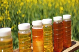 油菜花蜂蜜结晶状态，一斤需要30-50元左右