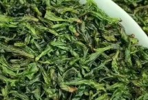 苦丁茶的产地，产地和口感均不同