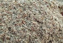 滇龙胆草的栽培技术，有些地区每斤可达150元