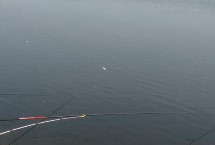 立夏水库钓鱼钓多深，根据具体情况决定