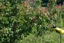 人工防治，可物理防治也可药物防治