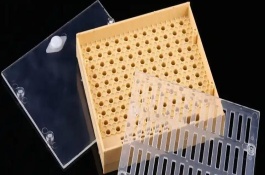 怎样人工育王，先放到蜜糖水中浸泡2-4小时