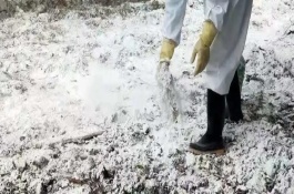 养猪场如何除臭，兑水制成石灰乳再涂刷墙壁和地面