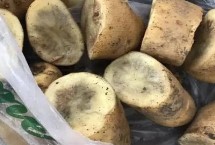 马铃薯为什么会黑心，病理性和生理性黑心的表现不同