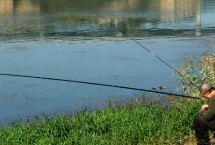 2.1米和3.6米的鱼竿哪个更实用，3.6米鱼竿的实用性更高