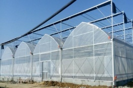 怎样延长大棚薄膜的使用寿命，选择无风高温的天气进行