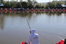 竞技竿和台钓竿的区别，优点是硬度高、缺点是自重大