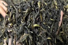 凤凰单丛怎么采制，属于乌龙茶
