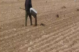 怎么使用微生物菌肥，要确保有益菌能够存活并发挥作用