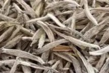 白茶的分类，是中国最古老的茶类