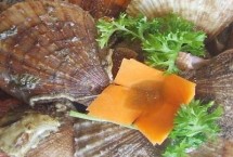 海湾扇贝要如何清洗，原产于美国东海岸