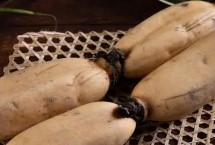 莲藕的保鲜方法，外表微黄、粗壮、粗糙的莲藕一般是粉藕
