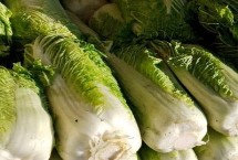 大白菜冬天该如何储存，常用这4种储存方法