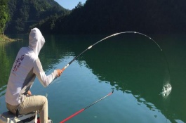 白露钓鱼用什么饵料，气温适宜好钓鱼