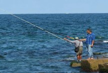 战斗竿是什么，二者的特点与用途皆不同