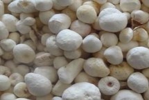 繁殖方法，可用块茎、珠芽和种子繁殖