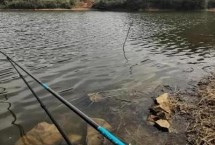 黑坑竿和综合竿哪个更好，野外作钓更适合使用综合竿