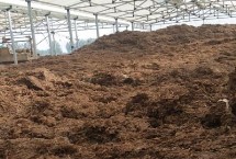 鸡粪养鲫鱼合适吗，发酵过程中可添加高碳物料