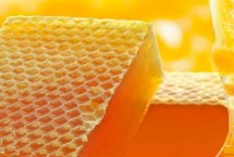 营养价值，与南方荔枝蜜合称“南北两大名蜜”