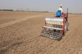 小麦南方可以种植吗，选择疏松肥沃、排水透气性良好的土壤