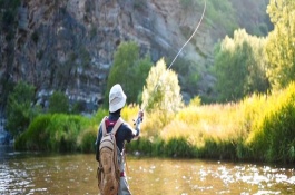 野钓可以用溪流竿吗，野钓实际上最适合用溪流竿