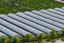 哪些农田不适合盖农膜，可建设容易恢复、不属于设施农业的蔬菜大棚