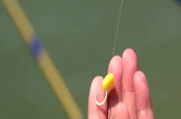 玉米钓鱼什么季节最好，取决于鱼种、钓场、天气