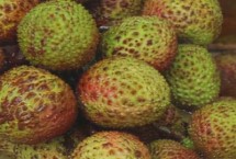 易容后的荔枝如何识别，可通过外观及气味鉴别