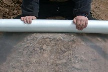 黑色地膜和白色地膜有什么区别，这五点需考虑