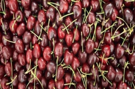 天价水果有哪些，常见的有车厘子、牛油果、蓝莓等