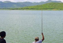 钓位选择，一般使用手竿和海竿