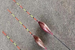 野钓鲫鱼提前多久打窝，可选择芦苇漂或长枣核型浮漂、孔雀翎浮漂