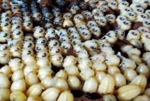 蜂蛹的价格，需确保新鲜、待彻底烹熟后再食用