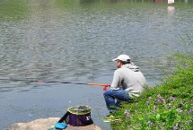 春季何时可以钓鱼，刚降温则不适合垂钓