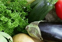 蔬菜种子播种前怎么处理，不同蔬菜种子有差异