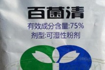 百菌清的用途，主治稻瘟病、叶锈病、叶斑病等