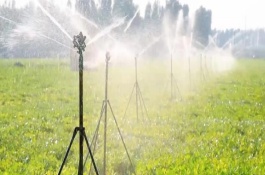 灌溉农业主要分布在哪，就是以水浇田的农业