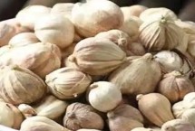 豆蔻的特点，是生活中常见的一种调料