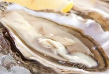 长牡蛎的产地，原产于中国、朝鲜、日本和俄罗斯