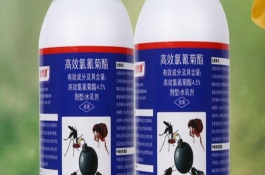 高效氯氰菊酯的注意事项，可灭杀地老虎