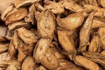 牛蒡根与牛蒡子有什么区别，主要体现在部位不同