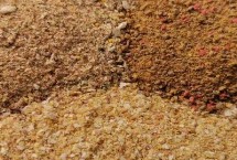 天下鲤能不能钓鲫鱼，专为垂钓鲤鱼而设计、但也能垂钓鲫鱼