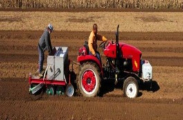 冬小麦常见的播种误区，造墒后按照3-5厘米的深度进行机播